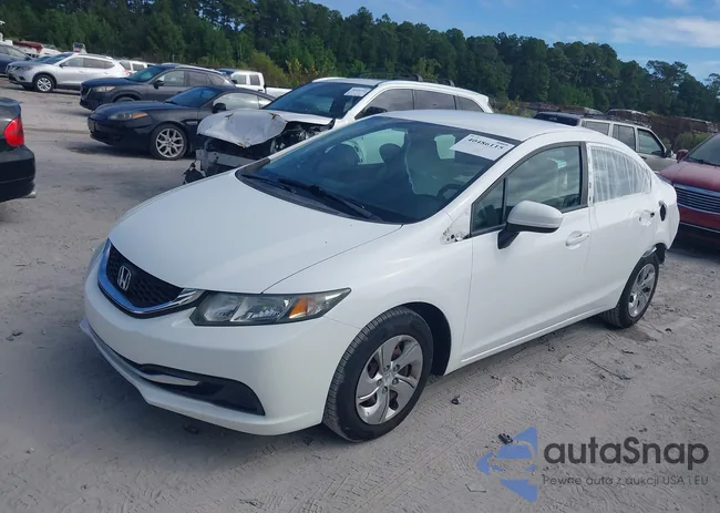 19XFB2F5XFE121993: 40486115