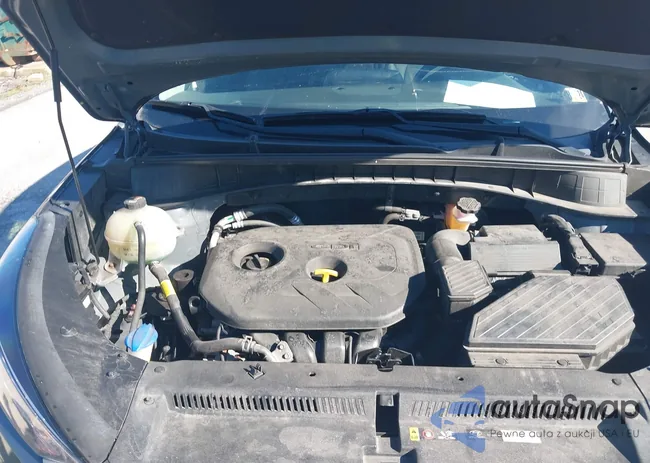 KM8J2CA46KU998907: 40486512