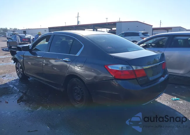 1HGCR2F38DA002967: 40488336