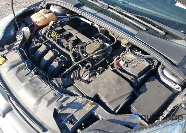 1FADP3F24EL437731: 40490568