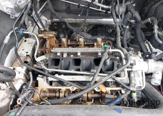 1FM5K8B8XDGC57564: 40492197