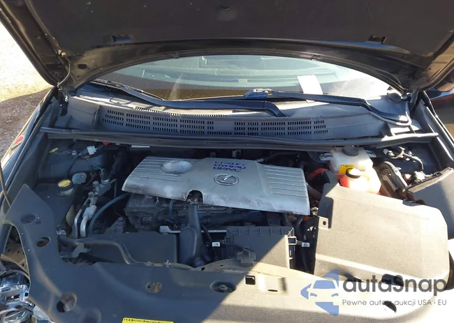 JTHKD5BH2D2162976: 40494005