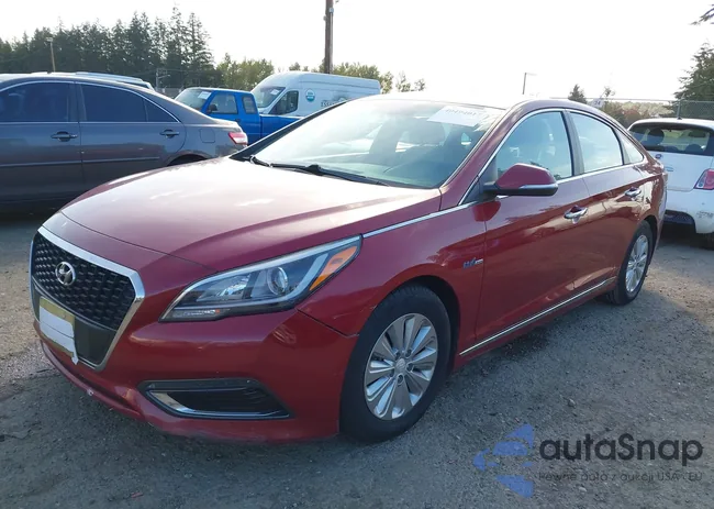 KMHE24L10GA012239: 40494017