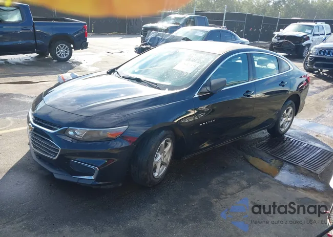 1G1ZB5ST6HF264959: 40503449