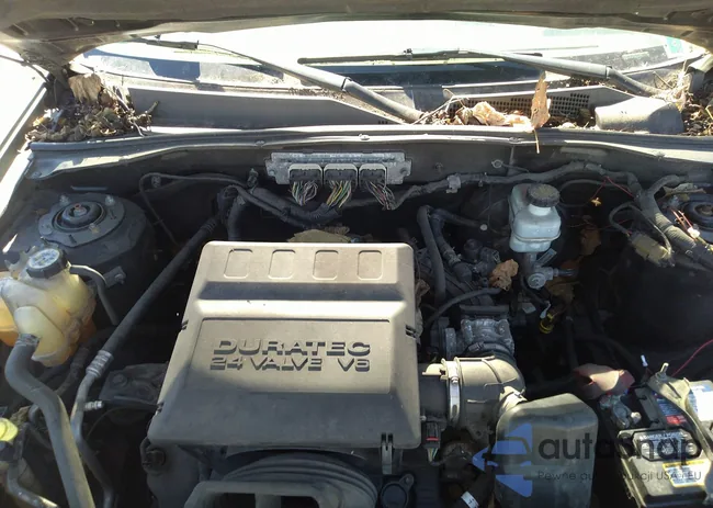 1FMCU9EG5AKB06876: 40505932