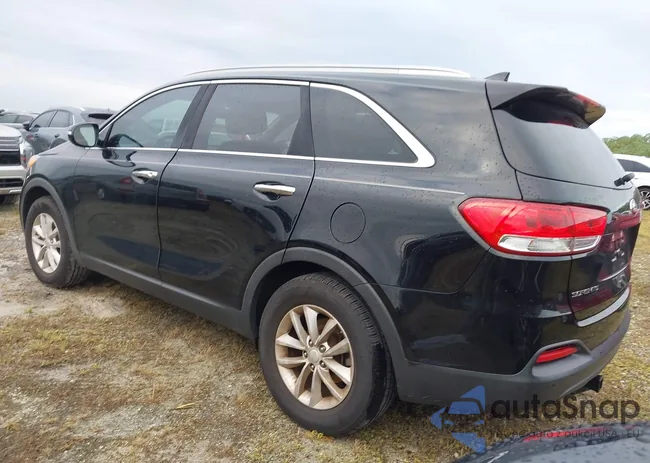 5XYPG4A31HG244384: 40509706