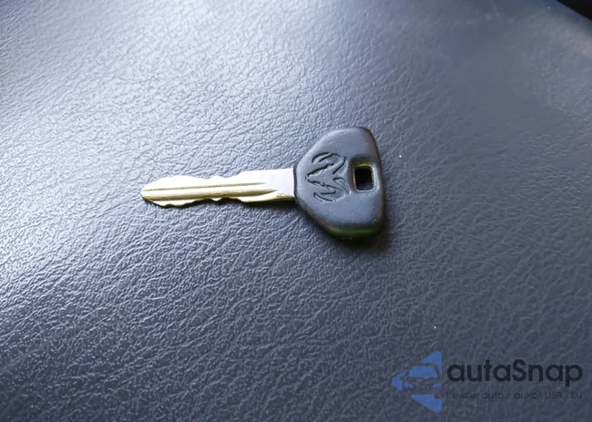 1B7GL22X9WS662202: 39514386