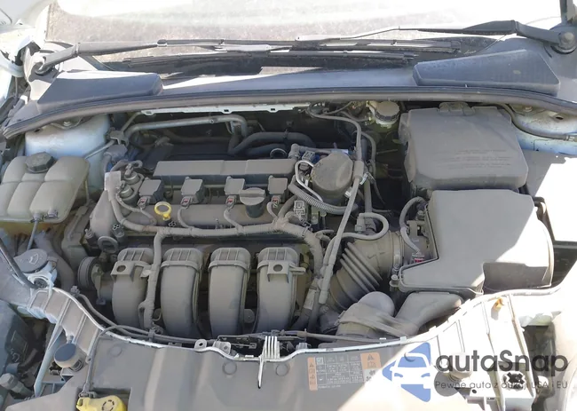 1FADP3K20EL301005: 39534153