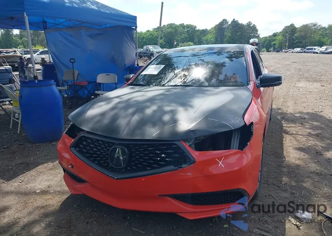 19UUB1F33KA009700: 39545210