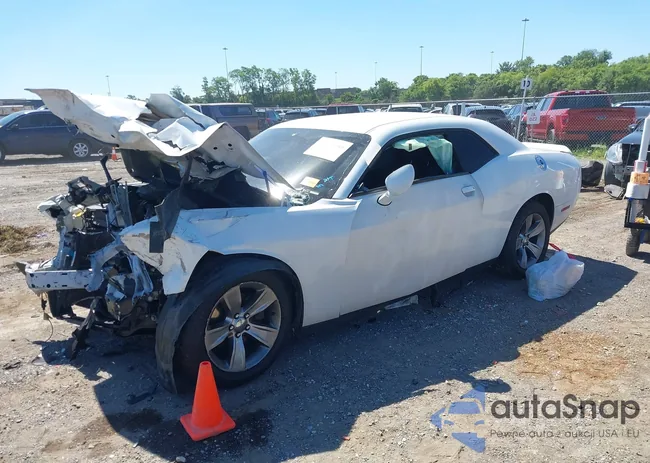 2C3CDZAG1LH226490: 39619359