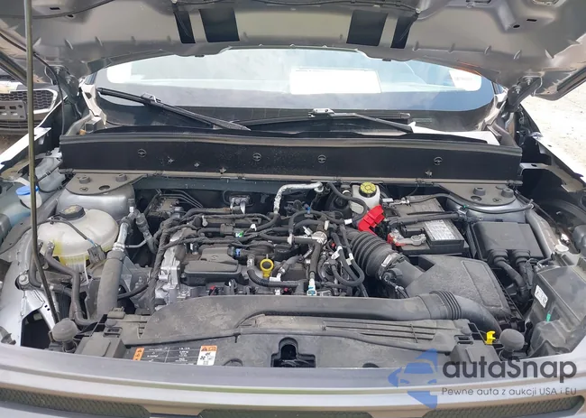 3FMCR9B64NRE02549: 39663318