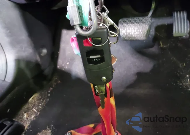 JM1BL1UG6C1611677: 39684257