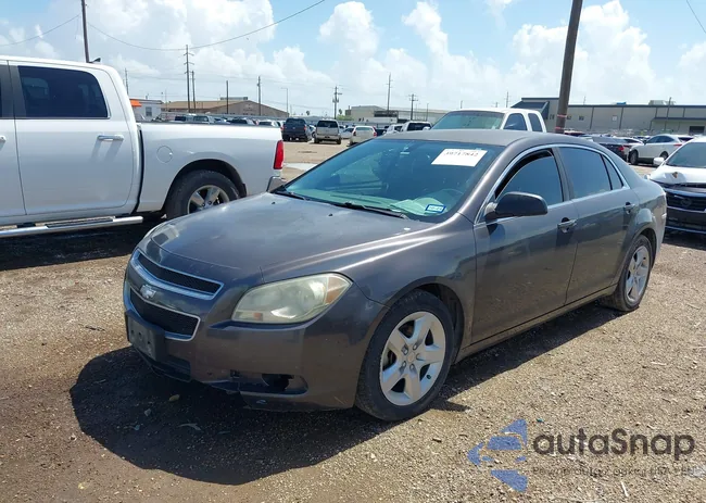 1G1ZB5EB6AF293810: 39717842