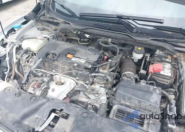 2HGFC2F65KH586106: 39725396