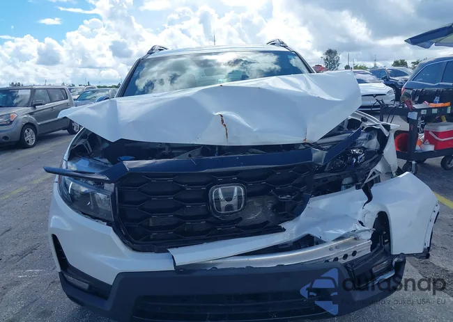 5FNYF8H00PB004100: 39736041