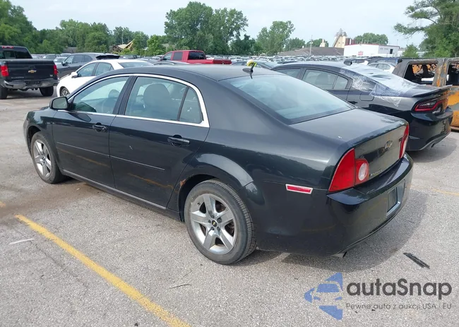 1G1ZC5EB1AF309134: 39742757