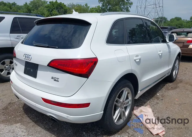 WA1LFAFP6EA113761: 39744974