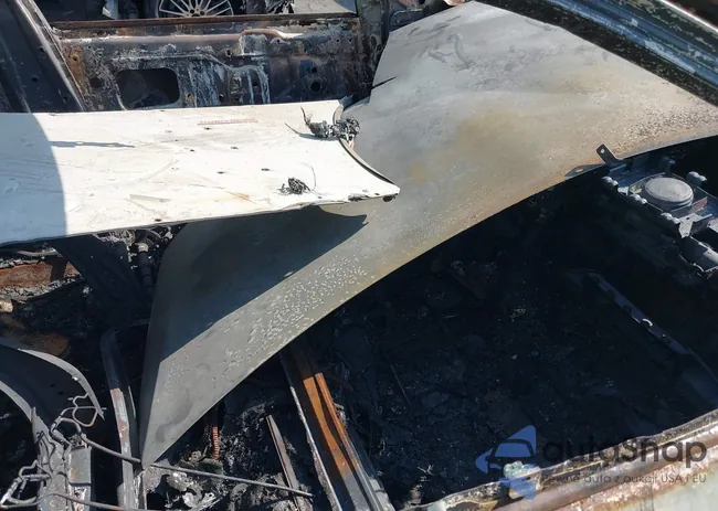 4T1BF1FK8CU557169: 39770282