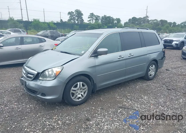 5FNRL38625B041067: 39771876