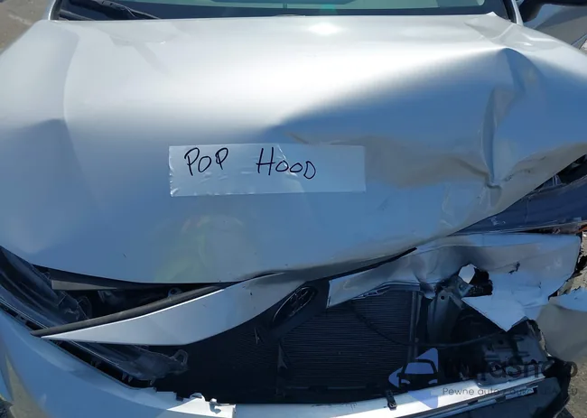 5YFB4MDE9PP031063: 39798164