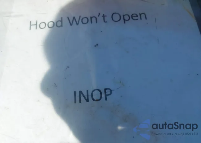 3GTU9FEL4MG134962: 39835118