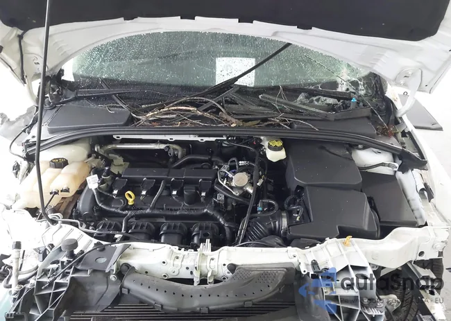 1FADP3F2XHL309532: 39841868