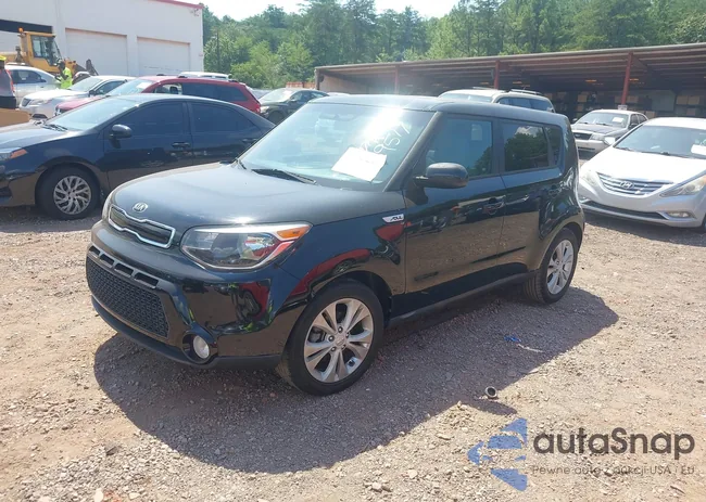 KNDJP3A56G7239517: 39863642