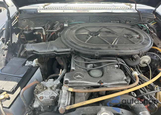 4JGCB65E59A094197: 39882949