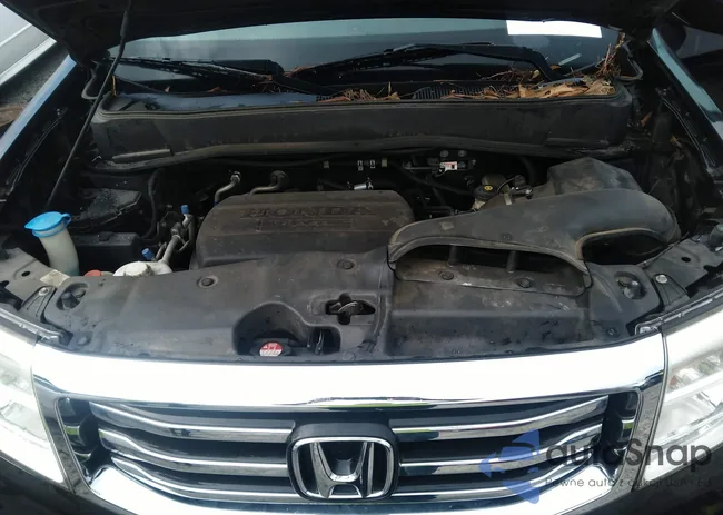 5FNYF4H56DB003274: 39894063