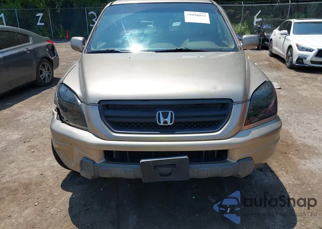 5FNYF18505B044838: 39898053