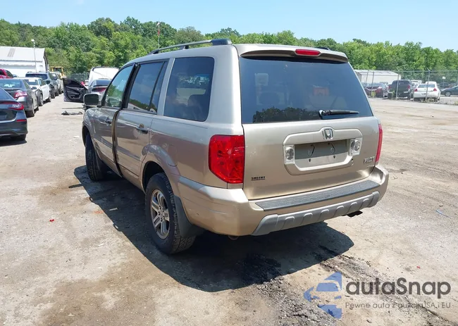 5FNYF18505B044838: 39898053