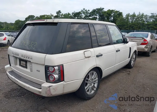 SALME1D46AA328226: 39898451