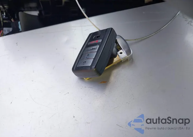 19UUB5F30MA001404: 39903989