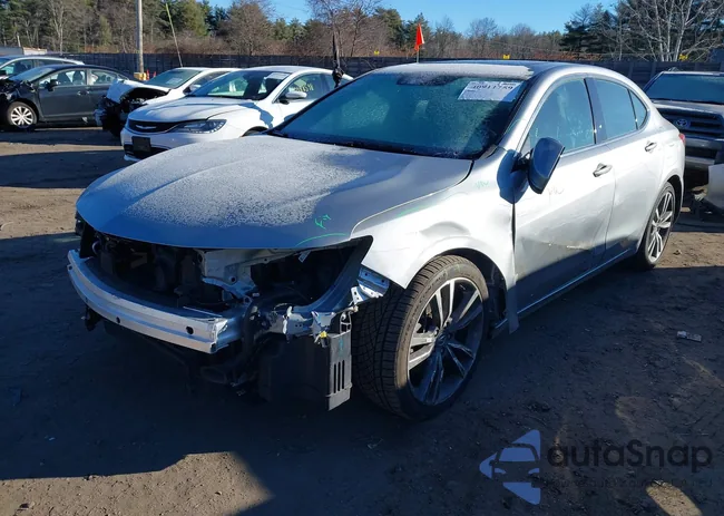 19UUB3F43LA003322: 40911759