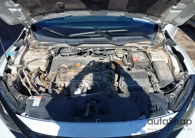 2HGFC4B8XKH302469: 40916308