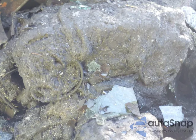 1C6SRFHT1LN254766: 40918650