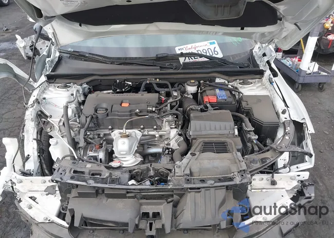 2HGFE2F51RH518428: 40923007