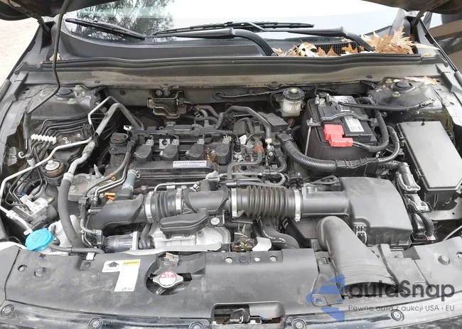 1HGCV1F34JA205131: 40924188