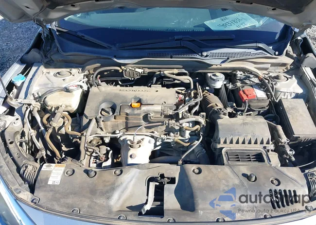 19XFC2F52HE206844: 40937836