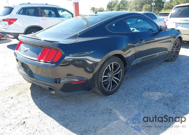 1FA6P8TH6G5284713: 40941651