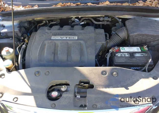 5FNRL38426B424992: 40945375