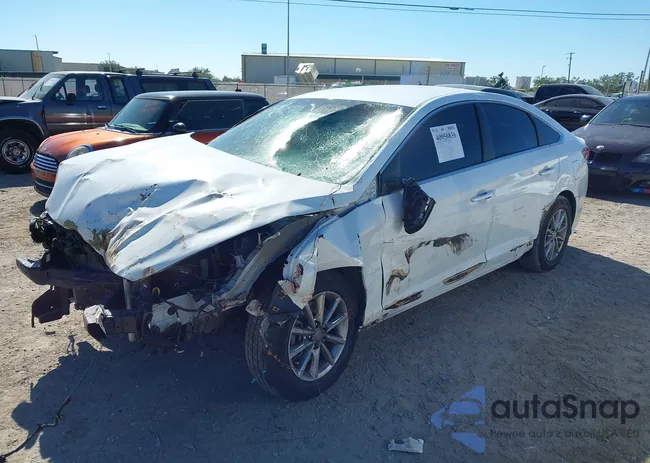 5NPE24AF9JH677675: 40950836