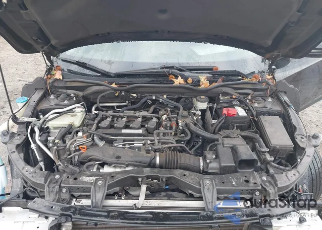 JHMFC1F95JX023603: 40953353