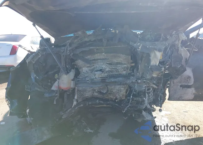 1GCGSDEN1K1200046: 40993464