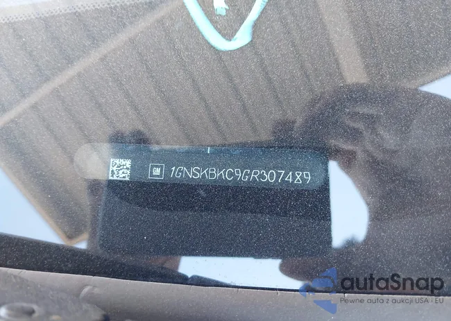 1GNSKBKC9GR307489: 41002153