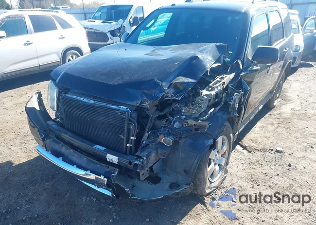 1FMCU0EG4AKC96682: 41005076