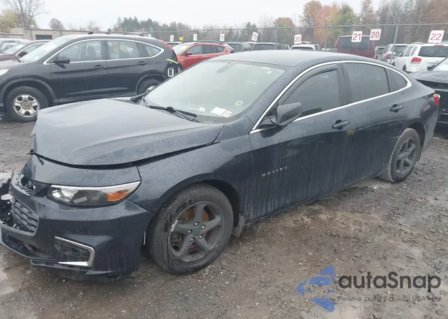 1G1ZB5ST7HF190452: 41011019