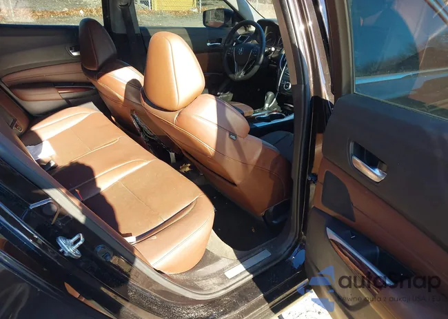 19UUB1F58FA012180: 41011318