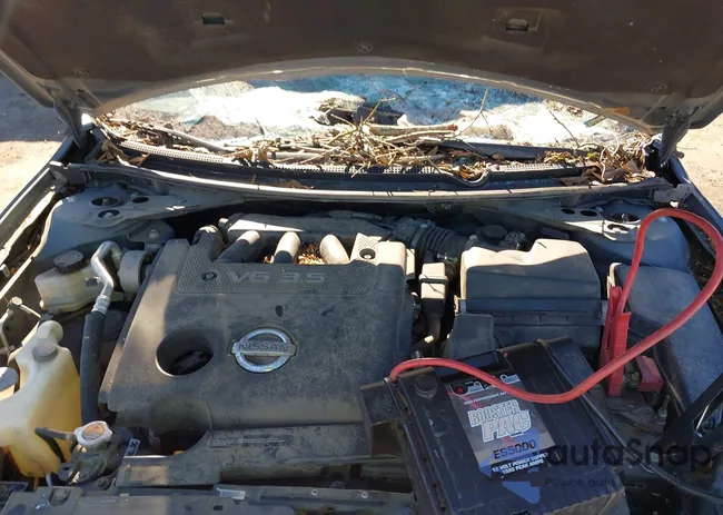 1N4BL2AP6CC138285: 41016925