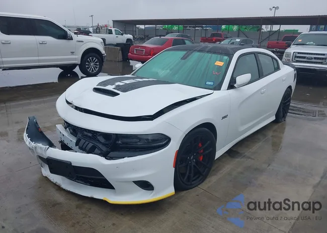 2C3CDXGJ9KH604500: 41024113